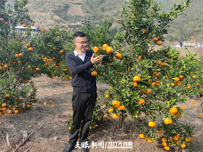 【问政问需在基层】王作楼代表:做好做强做精田坎乡白沙河村柑橘产业