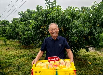 拼多多变“重”:再投百亿建设平台生态